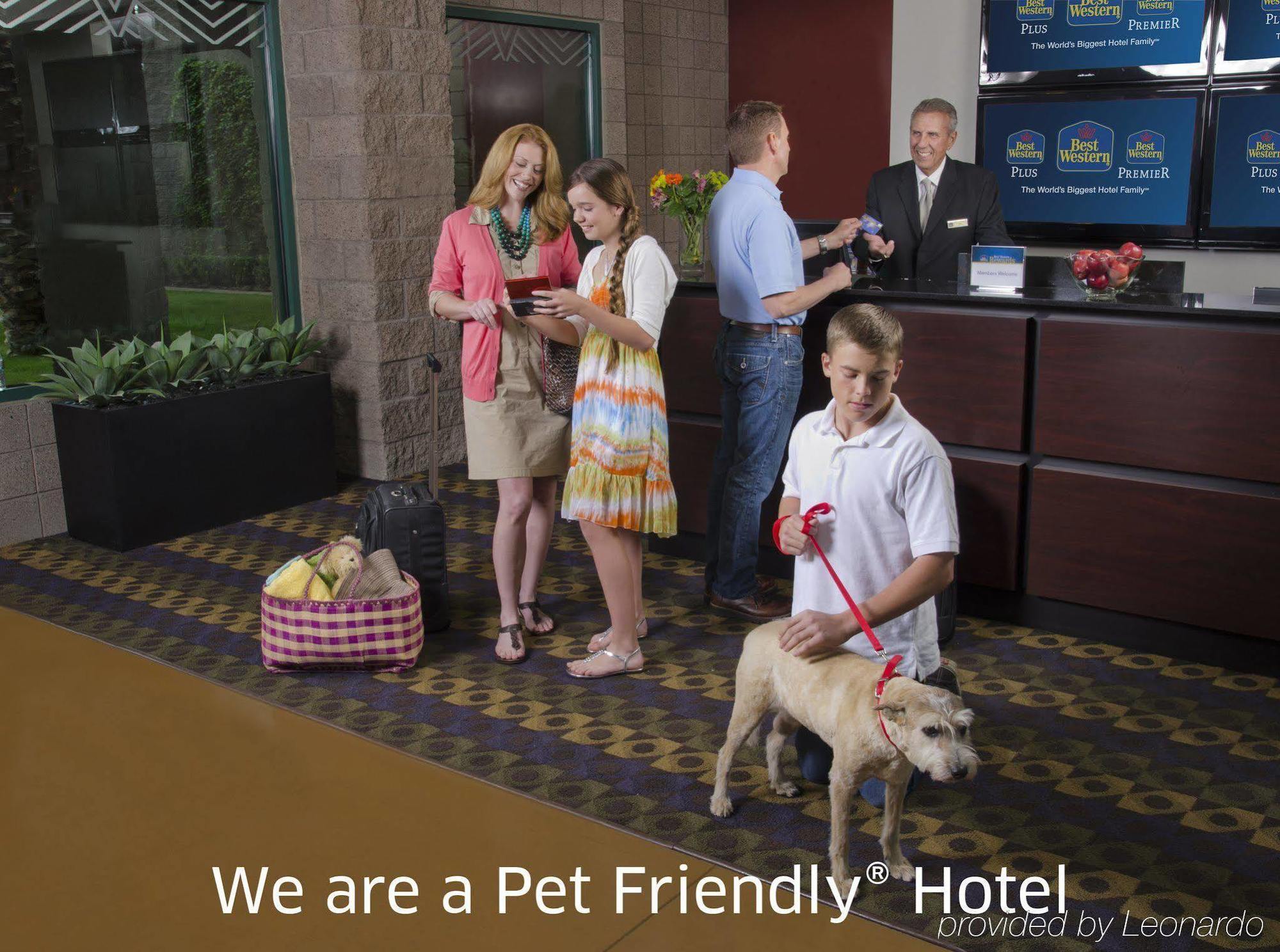Best Western Plus Gilbert/Mesa Ngoại thất bức ảnh